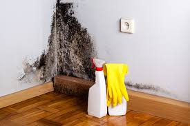 Mold Removal for HVAC Installations in Yorba Linda, CA